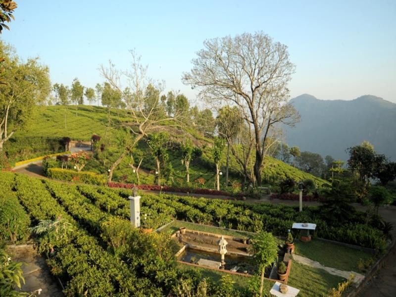 Teanest By Nature Resorts And Stays クーヌール エクステリア 写真