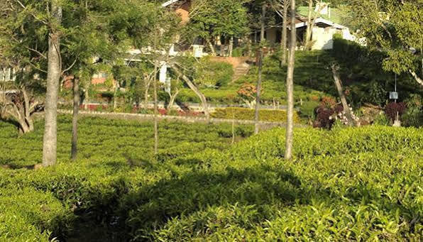 Teanest By Nature Resorts And Stays クーヌール エクステリア 写真